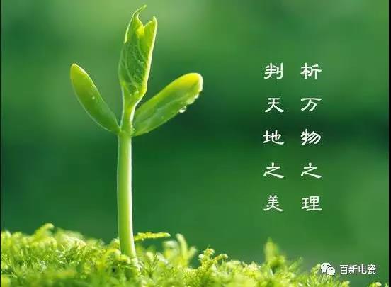 植树 |【种下希望，收获梦想】