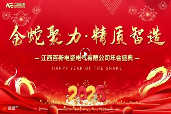 金蛇聚力 精质智造｜百新年会盛典精彩回顾视频