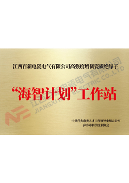海智计划工作站