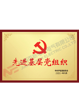 先进基层党组织